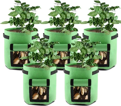 Image de pack de 5 sacs de 10 gallons planteur de jardin - bac de jardinage pour les légumes / pomme de terre / carotte / oignon / carotte en croissance - Brown
