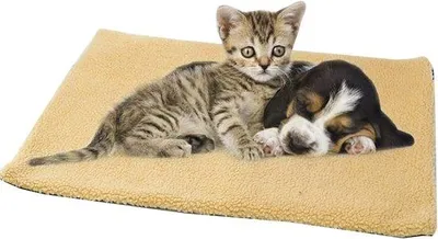 Produktbild von Selbstheizende Kattenaufenthaltmat, 75x50 cm, Gelb