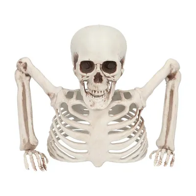 Produktbild von Skelett Gartendeko - Horror Halloween Deko Outdoor