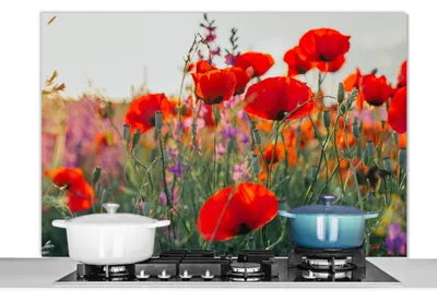 Obrázok produktu pre KitchenYeah® Kuchynský splashback - Kuchynský splashback - Ochrana steny sporáka a drezu - Mak - Kvety - Červená - Fialová - Lúka 120x80 - Alu-Dibond (alternatíva skleneného splashbacku) - Tepelne odolný - He