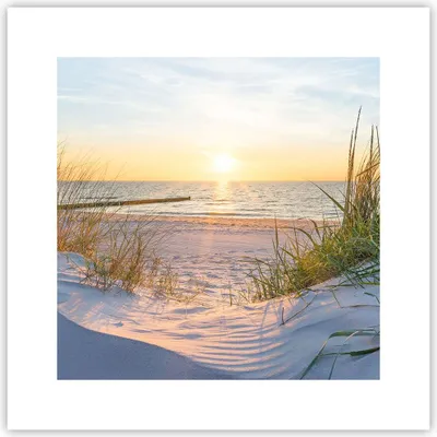 Produktbild von Poster - Poster ohne Rahmen - Düne Strand Meer - 30x30 cm - Wand Bild - Wanddeko - Wandbilder - Kunstposter - Wandposter - Bilder - Kunstdruck - Wanddekoration - Wandbild - P2XAC30x30-3989