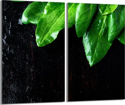 Immagine prodotto di Piastre copriforno 2 pezzi 30x52 Vetro copriforno in Vetroceramica, fogliame di basilico