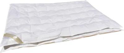 Produktbild von Betten Hofmann Mini Maxi Vierjahreszeiten Kinder Daunendecke Combi 100x135 cm - 135x200 cm