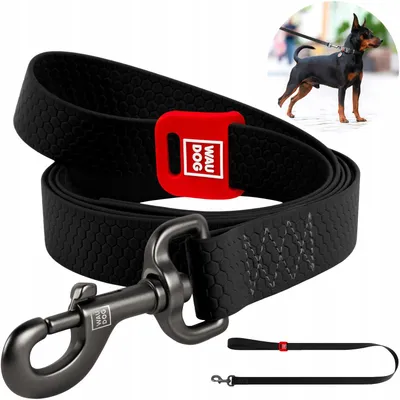 Produktbild von WAUDOG Waterproof Hundeleine schwarz, Größe M, 305 cm