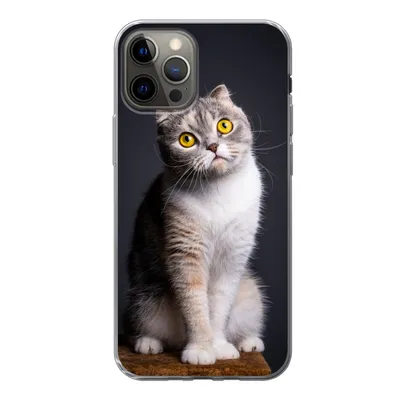 Produktbild von MuchoWow® Handyhülle Schutzhülle Hülle für iPhone 12 Pro Katze - Augen - Licht Silikon Softcase Handy Hülle