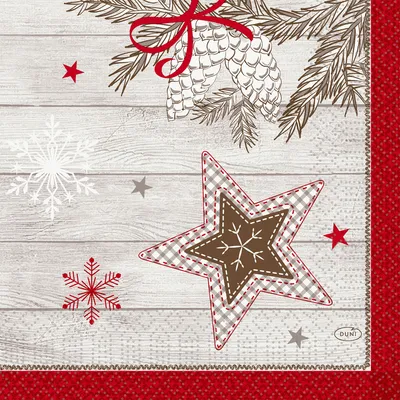 Obrázek produktu pro Duni ubrousky Cozy Winter 3-vrstvé 33 x 33 cm 250 kusů