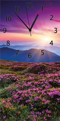 Produktbild von Wallario Design Wanduhr Blumenbedeckte Wiese bei Sonnenuntergang aus Echtglas, Größe 30 x 60 cm