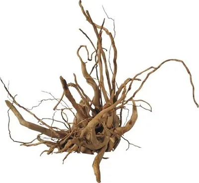 Produktbild von AMAZONAS 202618, Holz, Holz, 1 Stück(e)