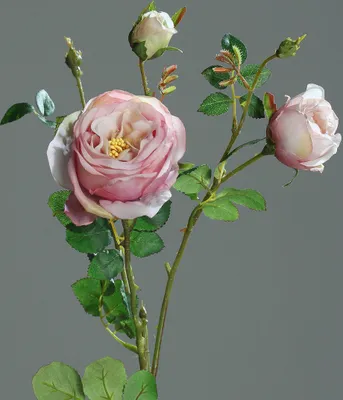 Produktbild von Kunstblume Rose mit Knospen 60 cm lavender