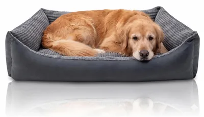 Produktbild von Hundebett 100 x 70 cm, für große Hunde, abnehmbarer wasserdichter Bezug, waschbar und robust