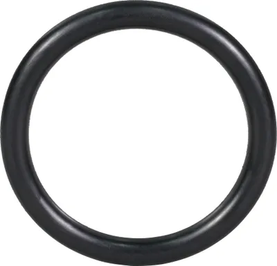 Zdjęcie produktu dla O-ring E-22436, średnica 41 mm, czworokąt zewnętrzny, 1 cal