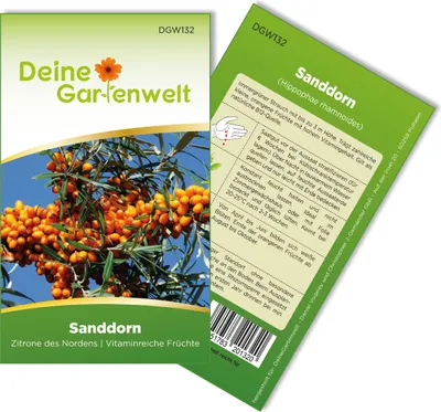 Produktbild von Sanddorn  Samen - Hippophae rhamnoides - Sanddornsamen - Obstsamen - Saatgut für 20 Pflanzen