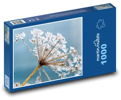 Obrázok produktu pre Puzzle 1000 Zamrznutý Bolehlav v Ľade - martinpuzzle