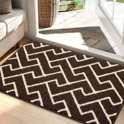 Productafbeelding van Schoonloopmat 60x90 cm, geschikt voor binnen en buiten, antislip, donkerbruin, wasbaar