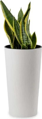 Obrázok produktu pre HowHomely Urbanika kvetináč 47 cm vysoký, kvetináč, biely kvetináč na balkón do záhrady