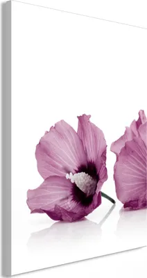 Produktbild von Italienischer Leinwand Leinwandbild - Close to Each Other (1 Part) Vertical 40x60 cm Blumen b-C-0490-b-a