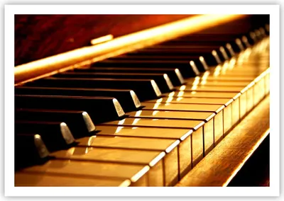Produktbild von Poster - Poster ohne Rahmen - Klavier Musik Konzert - 100x70 cm - Wand Bild - Wanddeko - Wandbilder - Kunstposter - Wandposter - Bilder - Kunstdruck - Wanddekoration - Wandbild - P2XAA100x70-2200
