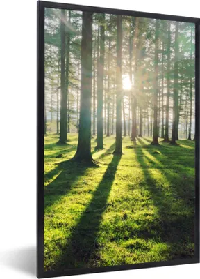 Produktbild von MuchoWow® Gerahmtes Poster Bäume - Natur - Wald 60x90 cm - Poster mit Schwarzem Bilderrahmen Wandposter Rahmen Foto Bilder - Kunst