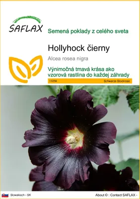 Obrázok produktu pre SAFLAX - Hollyhock čierny - Alcea rosea nigra - 100 Semená