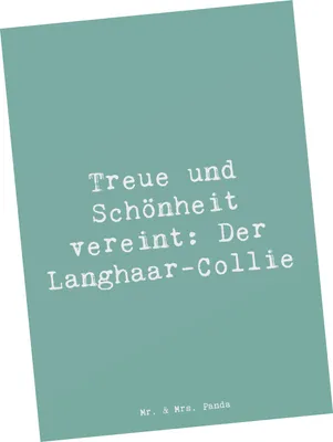 Produktbild von Mr. & Mrs. Panda Grußkarte Spruch Langhaar Collie - Meeresbrise - Geschenk, Hunderassen Pflege, Hunderasse, Postkarte, Ansichtskarte, Fotokarte, Hundeliebe, Postkarten