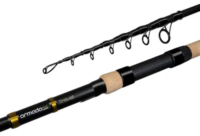 Image de Delphin ARMADA NX TRAVEL BlackWay Cork 300cm/3.00lbs