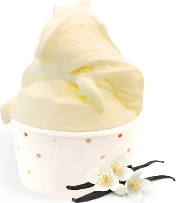 Zdjęcie produktu dla Lody waniliowe Bourbon w proszku 1 kg