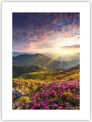 Produktbild von Poster - Poster ohne Rahmen - Gebirge Wiese Landschaft Wald - 30x40 cm - Wand Bild - Wanddeko - Wandbilder - Kunstposter - Wandposter - Bilder - Kunstdruck - Wandbild - P2XPA30x40-3152