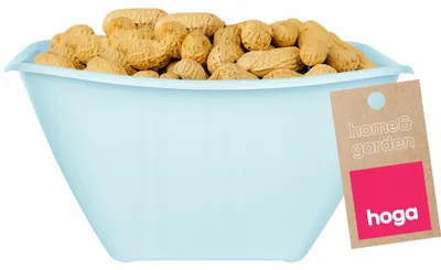 Produktbild von Hoga Kunststoff Schüssel Salatschüssel Lebensmittelecht 0,9L Hellblau