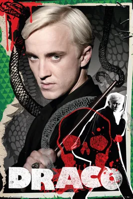 Image de Harry Potter - Draco - Affiche du film - Taille 61x91,5 cm