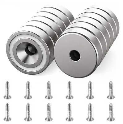 12 Neodymium Magnete, 10 kg Haftkraft, Scheibenmagnet, Silber