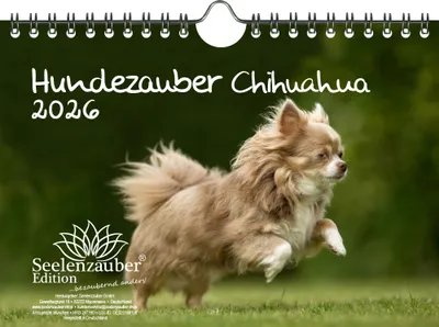 Produktbild von Hundezauber Chihuahua DIN A5 Kalender für 2026 Welpen und Hunde - Seelenzauber
