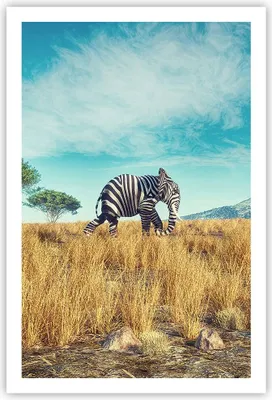 Produktbild von Poster - Poster ohne Rahmen - Surreal Elefant Rippen - 61x91,5 cm - Wand Bild - Wanddeko - Wandbilder - Kunstposter - Wandposter - Bilder - Kunstdruck - Wanddekoration - Wandbild - P2XPA61x91-4717