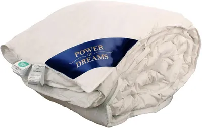 Produktbild von Power of Dreams Daunendecke 200x220cm, 1800g - Ganzjährig Gänsedaunen Bettdecke - 100% Baumwolle, Kassettenbett