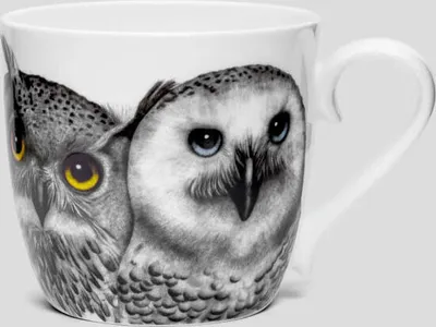 Immagine prodotto di Charlotte Nicolin Becher Contemplation, Tasse, Eule, Fine Bone China, Bunt, 415 ml, MU7511