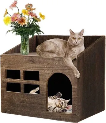 Image de Kattentuin-Lounge - Entrée à deux marches - Avec fenêtre - Bois - 47,3 x 35 x 42 cm