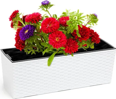 Zdjęcie produktu dla Kwietnik Donica Skrzynka z Wkładem 56 x 19cm Balkonowa Ogrodowa Domowa Rattan Biała