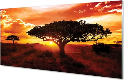 Produktbild von Glasbilder 100x50 Wandkunst Bäume Wolken Westen