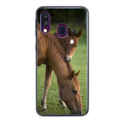 Produktbild von MuchoWow® Handyhülle Schutzhülle Hülle für Samsung Galaxy A40 Pferde - Gras - Porträt Silikon Softcase Handy Hülle - Handy-Tasche