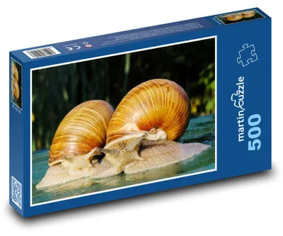 Obrázek produktu pro martinpuzzle - Puzzle 500 - Šneci