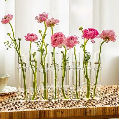 Produktbild von Unyqoos® Reagenzglasvase aus Borosilikatglas – klappbare Röhrchen‑Vase mit S‑Haken, flexibel für Hydrokultur, Blumen & Wohnraumdeko