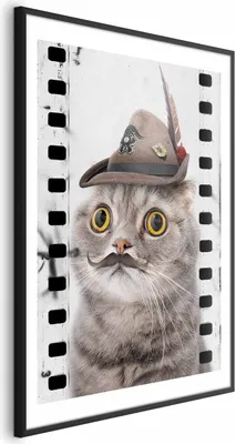 Produktbild von Posterpapier Poster - Cat in a Hat 40x60 cm Für Kinder g-A-0161-ao-a