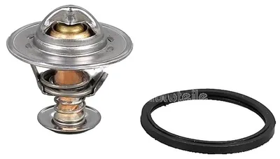 Immagine prodotto di METZGER 4006388 Termostato liquido di raffreddamento