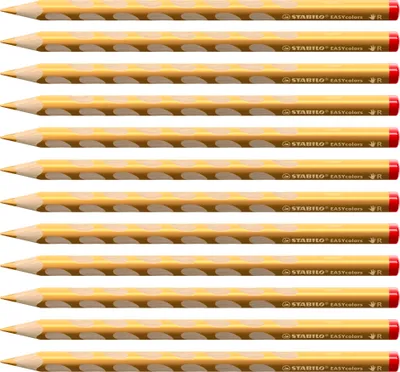 Produktbild von STABILO Ergonomischer Buntstift für Rechtshänder - EASYcolors - 12er Pack - gold