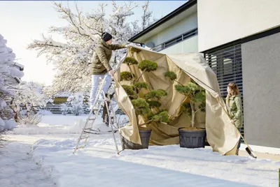 Produktbild von Windhager Vlieshaube Super-Protect XXXL 3,9 x 3,5 m, beige