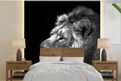 Produktbild von MuchoWow® Fototapete für Wohnzimmer oder Schlafzimmer Wandtapete Vinyl Motivtapete Löwe vor schwarzem Hintergrund in schwarz und weiß - 240x240 cm - Schlafzimmer-Tapete