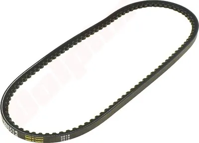 Image de Courroie trapézoïdale Pour Alko ( 462714 )