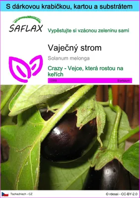 Obrázek produktu pro SAFLAX Dárková sada - vaječný strom - Solanum melonga - 20 Semena - S dárkovou krabičkou, přepravním štítkem, dárkovou kartou a pěstebním médiem