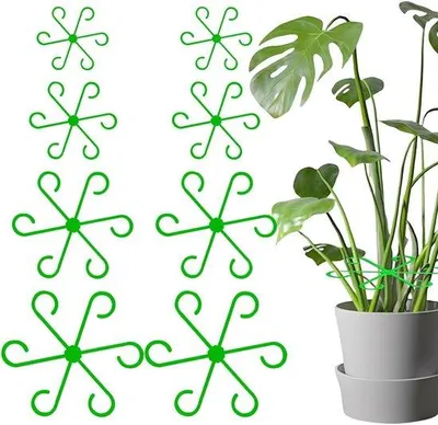 Productafbeelding van Set plantensteunen – 4 kunststof steunen voor klimplanten