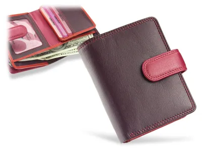 Immagine prodotto di Portafoglio da donna in pelle Visconti, collezione Rainbow, colore prugna, dimensioni 11,5 cm