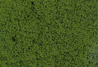 Produktbild von Faller 181622 - H0/TT/N/Z - Blätterfoliage, grün - Neu